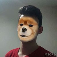madbin image