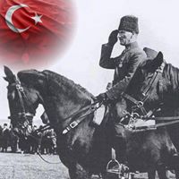 madbin image