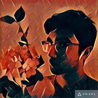 madbin image
