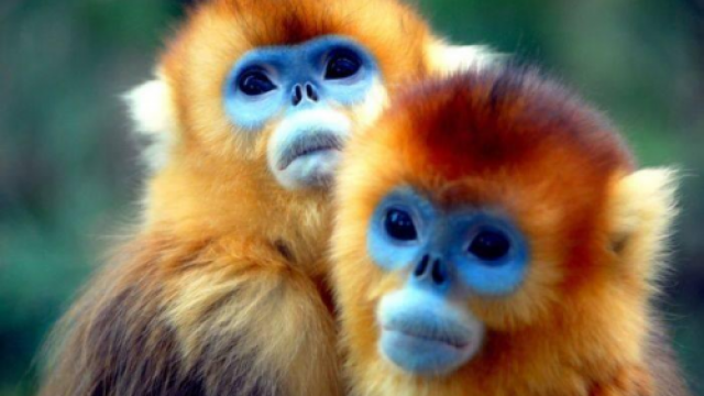 this is a tewst data