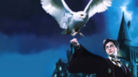 Harry Potter'da Yaratık ve Hayvanlar