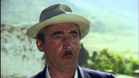 Şener Şen Testi