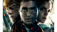 Gerçekten Zor Harry Potter Testi