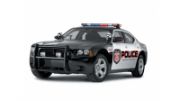 Hangi ülkenin polis aracı?