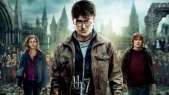 Harry Potter ve Ölüm Yadigarları Testi