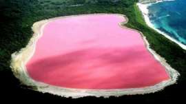 Artificial or Natural